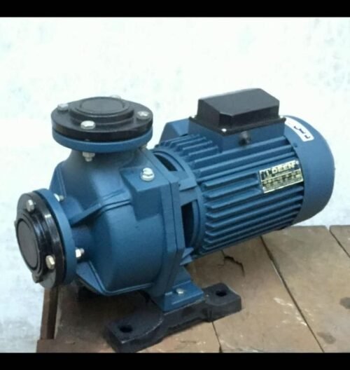 DEEN MONOBLOCK 1HP