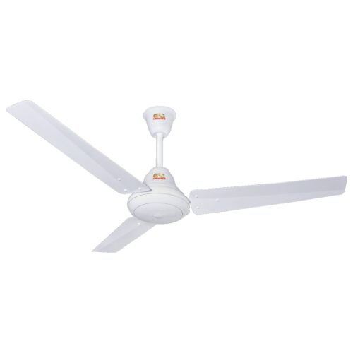 GFC RAVI - Image 4